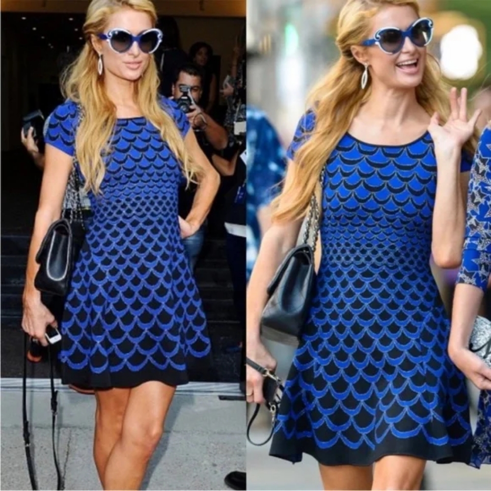 Diane von Furstenberg Alina Acorn Moon Dress